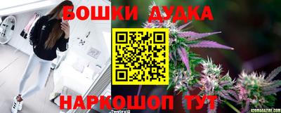 apvp Коммунар